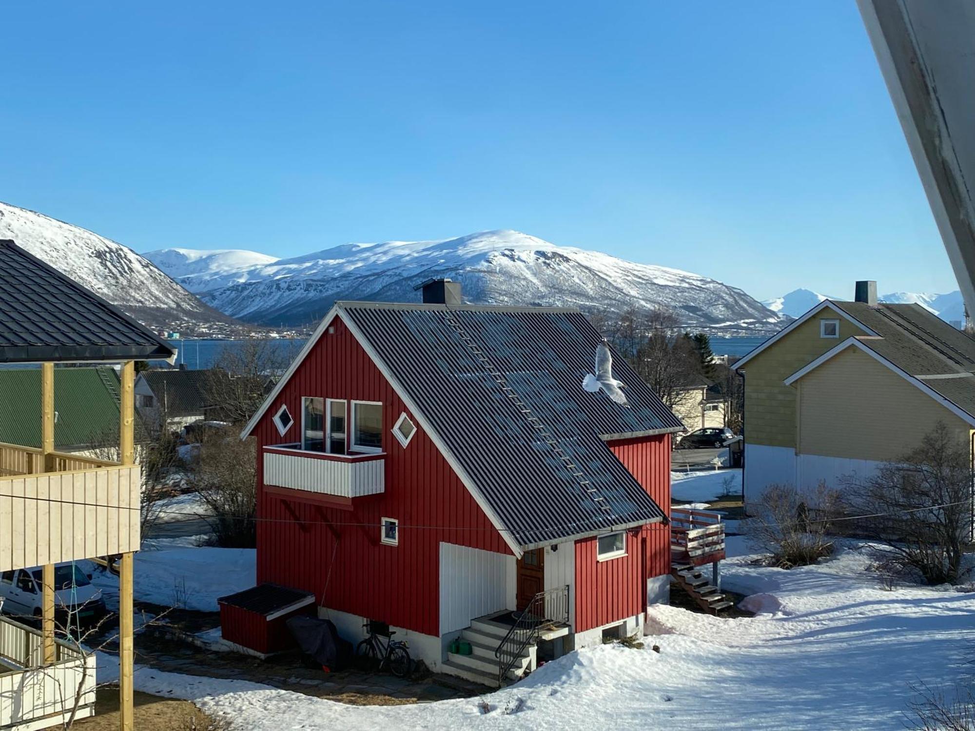 Polar Arctic Luxury House - Free Parking Villa Tromsø Exteriör bild